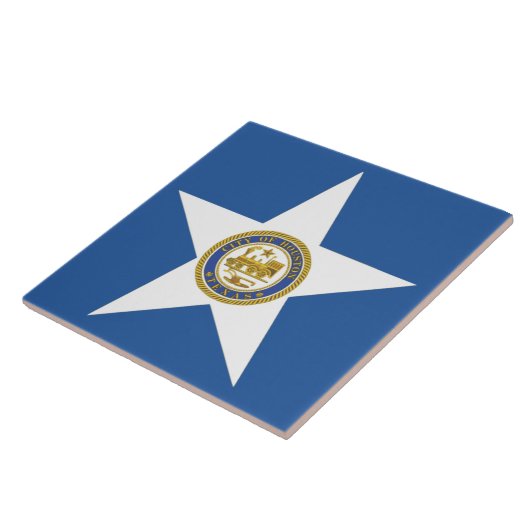 Stadsvlag Houston Tegeltje (Zijkant)