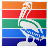 Stadsvlag Sint-Petersburg (Florida) Tegeltje (Voorkant)