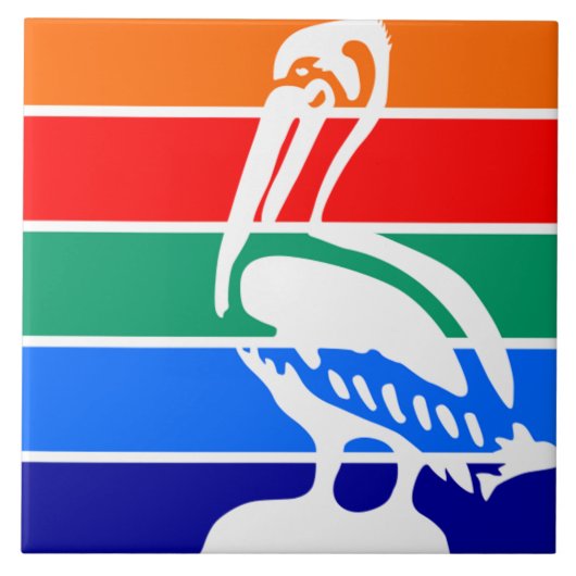 Stadsvlag Sint-Petersburg (Florida) Tegeltje (Voorkant)