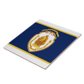 Stadsvlag Springfield (Massachusetts) Tegeltje (Zijkant)