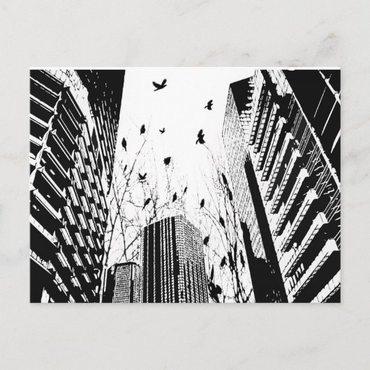 stadsvogels briefkaart (Voorkant)