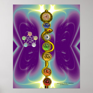 STAF VAN ASCLEPIUS 7 CHAKRA'S, YOGA, SPIRITUELE EN POSTER