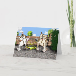 STAFFIE GLIMLACHEN - de factor van X - Kaart