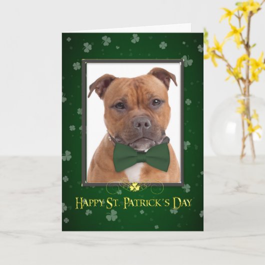 Staffie St. Patricks Day Kaart (Gele Bloem)