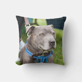 Staffie Throw Cushion Kussen