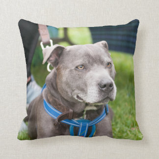 Staffie Throw Cushion Kussen