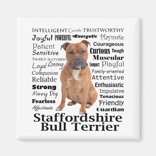 Staffie Traits Magnet (Voorkant)