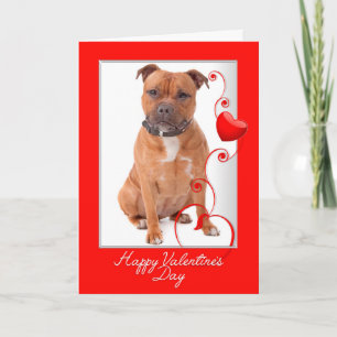Staffie Valentijnsdagkaart Kaart