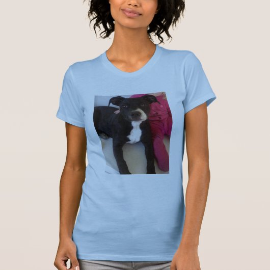 STAFFIES ZIJN NIET GEVAARLIJK T-SHIRT (Voorkant)
