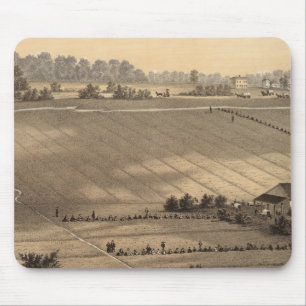 Stafford Forge Cranberry Plantation, West Creek Muismat