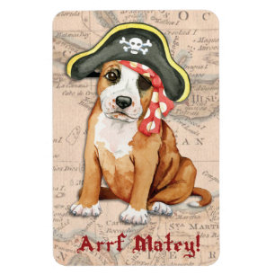 Stafford Pirate Magneet