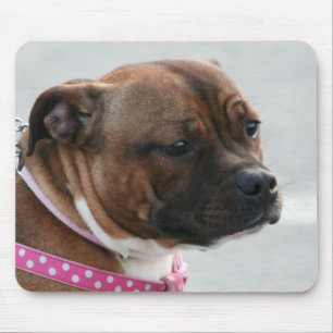 Staffordshire bull doodsangermousepad muismat