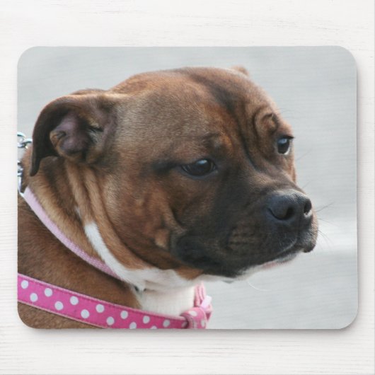 Staffordshire bull doodsangermousepad muismat (Voorkant)