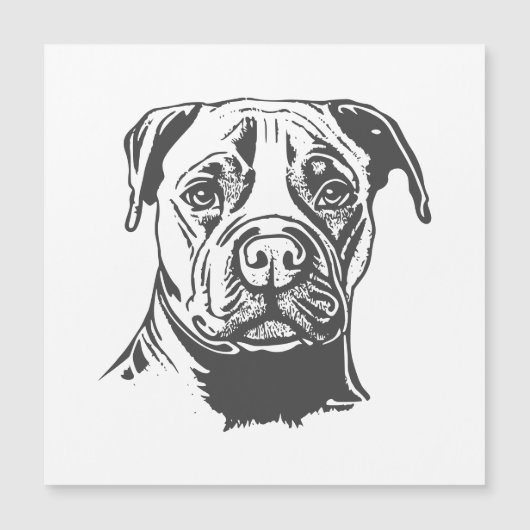Staffordshire Bull Terrier (Voorkant)
