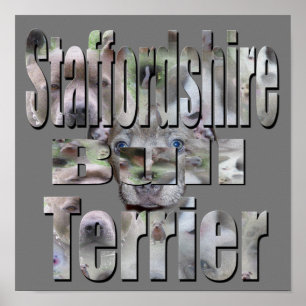 Staffordshire Bull Terrier Afbeelding Logo, Poster