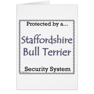 Staffordshire Bull Terrier Beveiligingssysteem