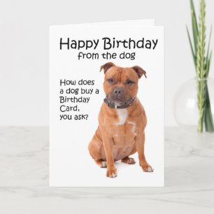 Staffordshire Bull Terrier Birthday Card Kaart