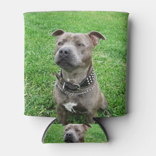 Staffordshire Bull Terrier Blikjeskoeler (Voorkant)