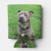 Staffordshire Bull Terrier Blikjeskoeler (Achterkant)