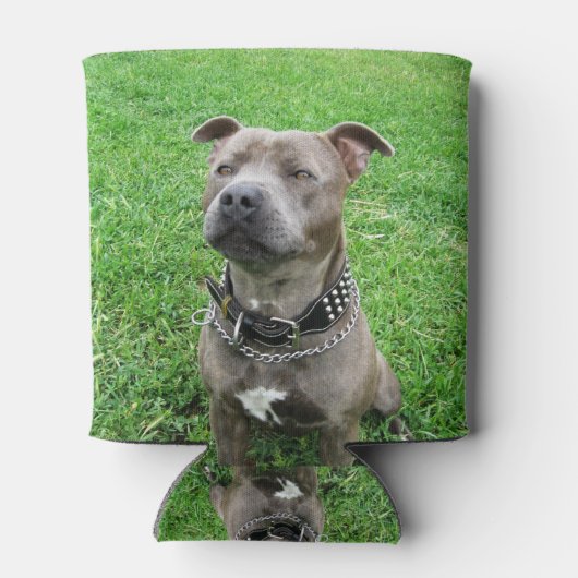 Staffordshire Bull Terrier Blikjeskoeler (Achterkant)