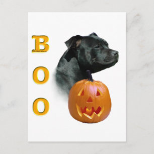 Staffordshire Bull Terrier Boo Briefkaart