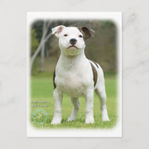 Staffordshire Bull Terrier Briefkaart