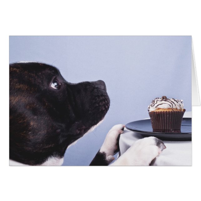 Staffordshire Bull Terrier & Cake Card (Voorkant Horizontaal)