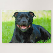 Staffordshire Bull Terrier Dog. Jigzaag Puzzle Legpuzzel (Horizontaal)