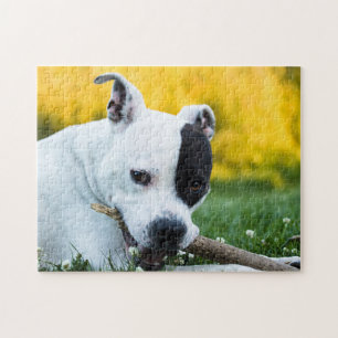 Staffordshire Bull Terrier Dog Jigzaag Puzzle Legpuzzel