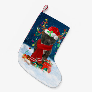 Staffordshire Bull Terrier dog met kerstcadeau Kleine Kerstsok