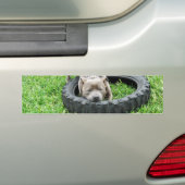 Staffordshire Bull Terrier, Eén Hap, Bumpersticker (Op auto)