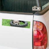 Staffordshire Bull Terrier, Eén Hap, Bumpersticker (Op Truck)