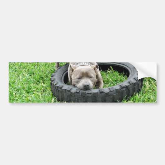 Staffordshire Bull Terrier, Eén Hap, Bumpersticker (Voorkant)