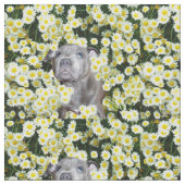 Staffordshire Bull Terrier en Daisies Stof (Close Up)