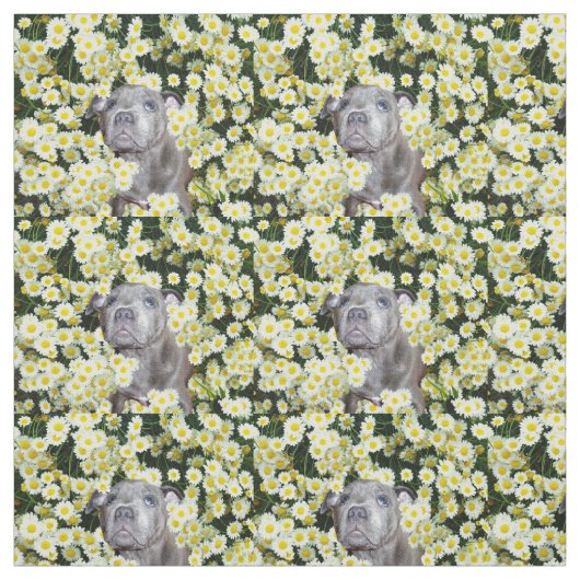 Staffordshire Bull Terrier en Daisies Stof (Swatch)