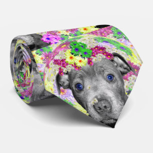 Staffordshire Bull Terrier en Daisies Stropdas