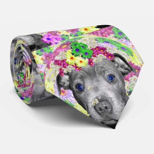 Staffordshire Bull Terrier en Daisies Stropdas (Opgerold)