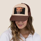Staffordshire Bull Terrier Face Trucker Pet (In situ)