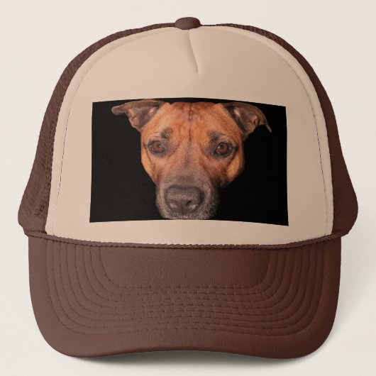 Staffordshire Bull Terrier Face Trucker Pet (Voorkant)