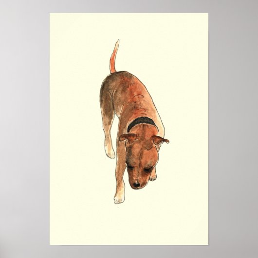 Staffordshire Bull Terrier Fun Waterverf Dog Art Poster (Voorkant)