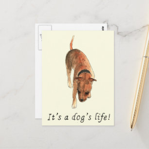 Staffordshire Bull Terrier Gezegde Briefkaart