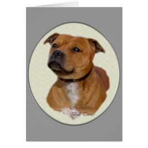 Staffordshire Bull Terrier Gifts