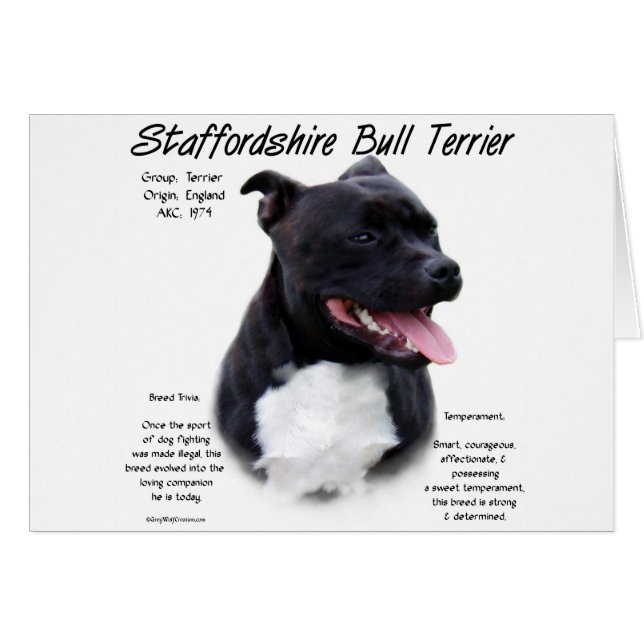 Staffordshire Bull Terrier History Design (Voorkant Horizontaal)