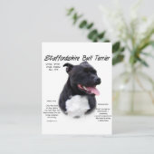Staffordshire Bull Terrier History Design Briefkaart (Staand voorkant)