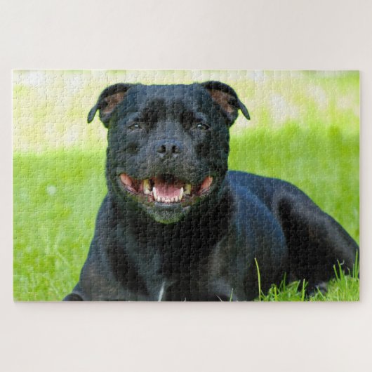 Staffordshire Bull Terrier hond. Legpuzzel (Horizontaal)