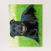 Staffordshire Bull Terrier hond. Legpuzzel (Verticaal)
