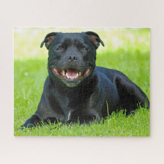 Staffordshire Bull Terrier hond. Legpuzzel (Horizontaal)