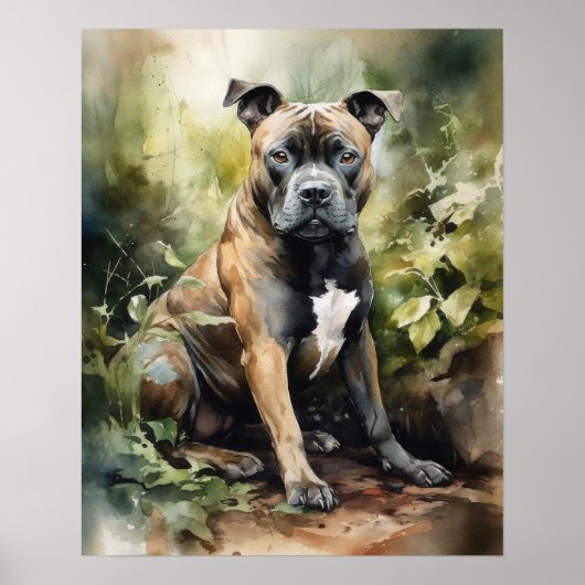Staffordshire Bull Terrier Hondenkunst Print Poste (Voorkant)