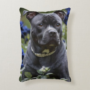 Staffordshire Bull Terriër in Blue Roos Garden, Accent Kussen