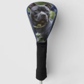 Staffordshire Bull Terriër in Blue Roos Garden, Golfheadcover (Voorkant)